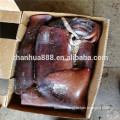 Sea Frozen Indian Ocean Squid For Sale to Processing Factory